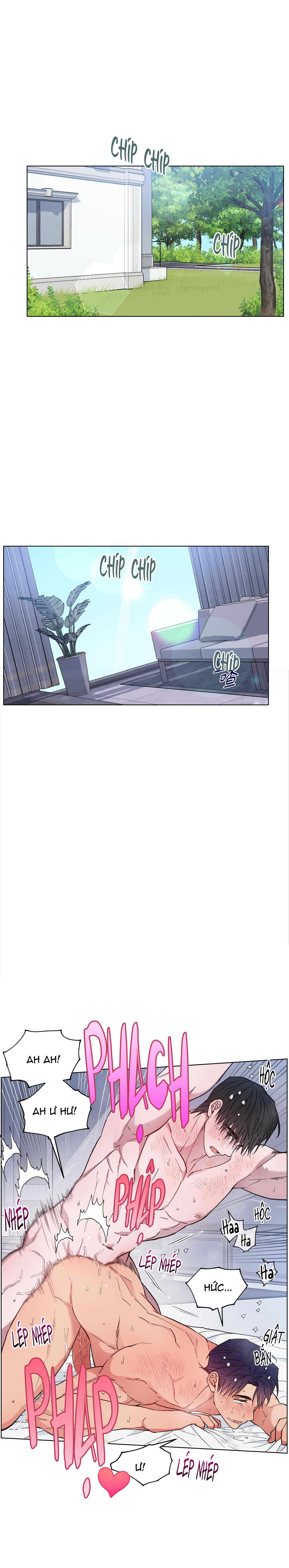 bình minh trên sông mây chapter 29 6