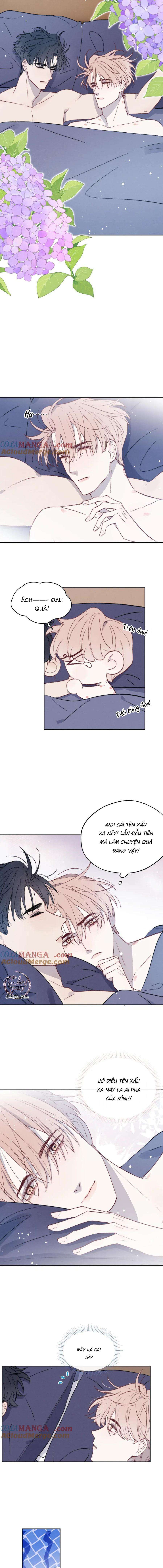 nhật ký thất tình của mr.nhung chapter 62 5