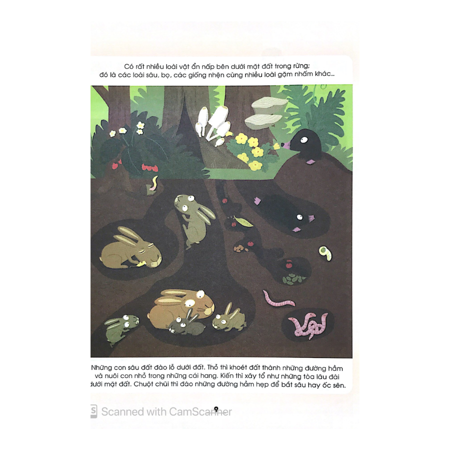 Sách Từ Điển Khoa Học Của Bé - Bé Tập Khám Phá