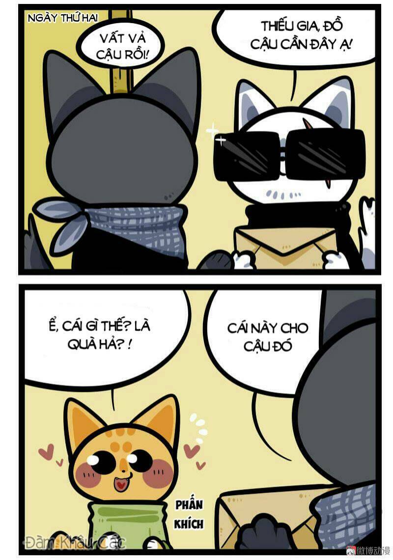 đời không như mình tưởng chapter 64 5