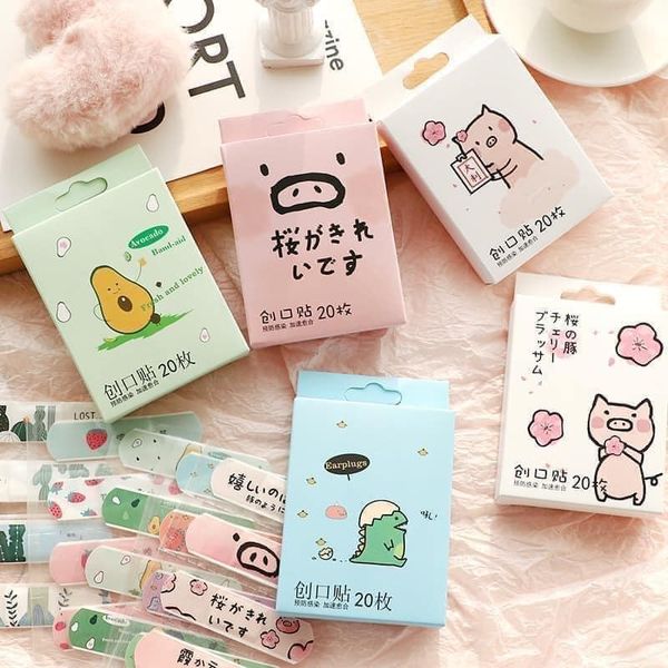 HỘP 20 BĂNG GÂU CUTE ĐÁNG YÊU CHO CẢ GIA ĐÌNH