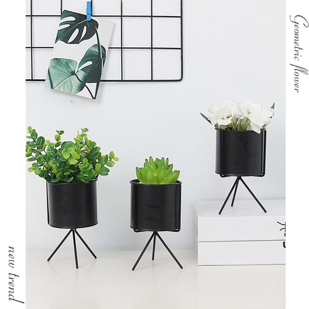 Chậu trồng cây sen đá, xương rồng, cẩm nhung – Hộp trồng cây mini để bàn