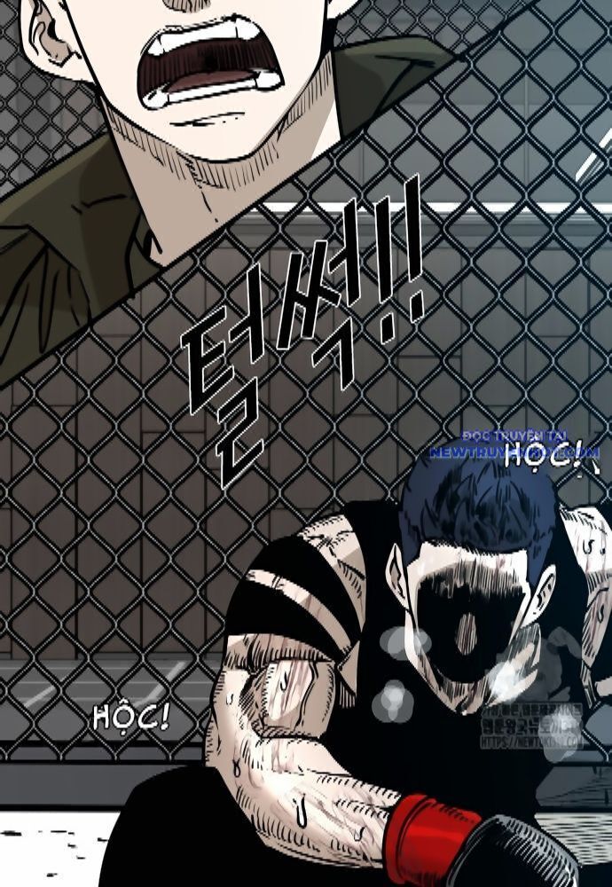 shark - cá mập chapter 304 91