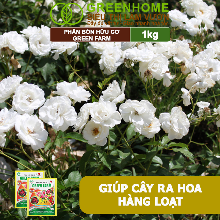 Phân Bón Hữu Cơ Green Farm, GreenHome, Gói 1kg, Chuyên Dùng Cho Cây Cảnh, Hoa Hồng