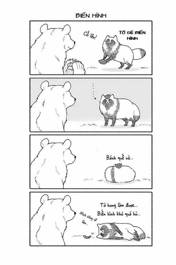 gấu và tanuki chapter 1 7