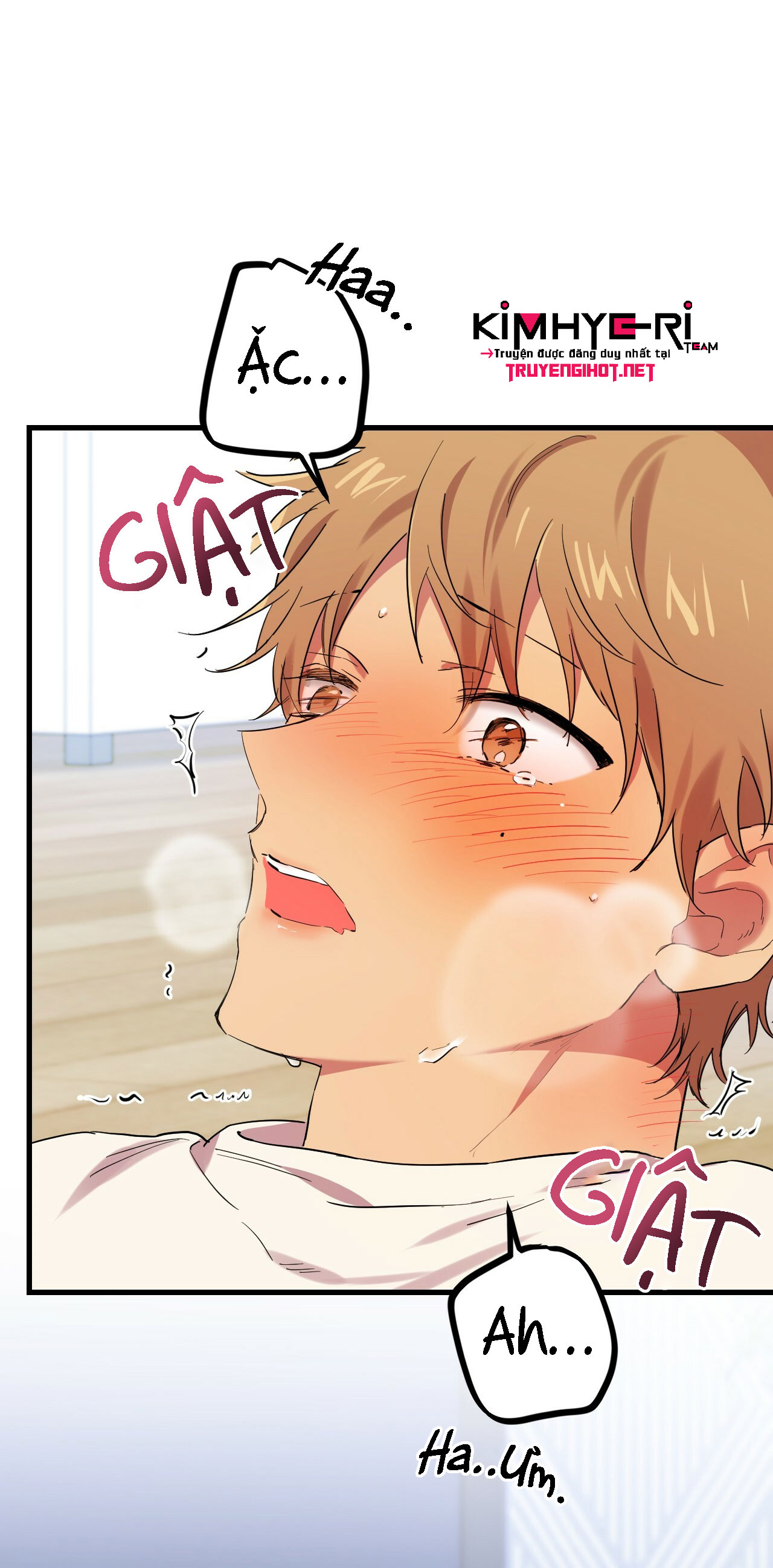 những chú thỏ của hapypy chapter 8 50