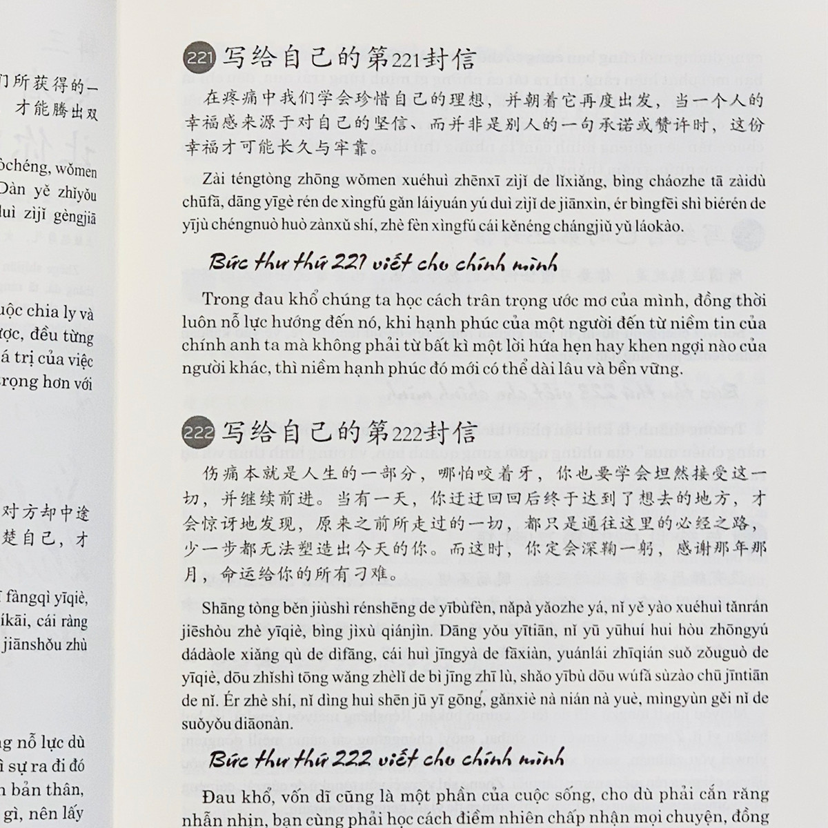 999 bức thư viết cho chính bạn song ngữ Trung Việt có phiên âm - Phiên bản đặc biệt 2019