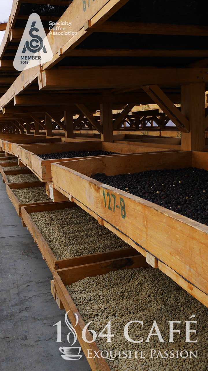 Cà phê hảo hạng 1864 CAFÉ Guatemala Puerta Verde nguyên hạt 220g