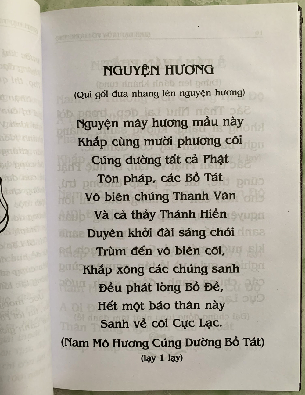 Phật Thuyết Đại Thừa Vô Lượng Thọ Trang Nghiêm Thanh Tịnh Bình Đẳng Giác Kinh