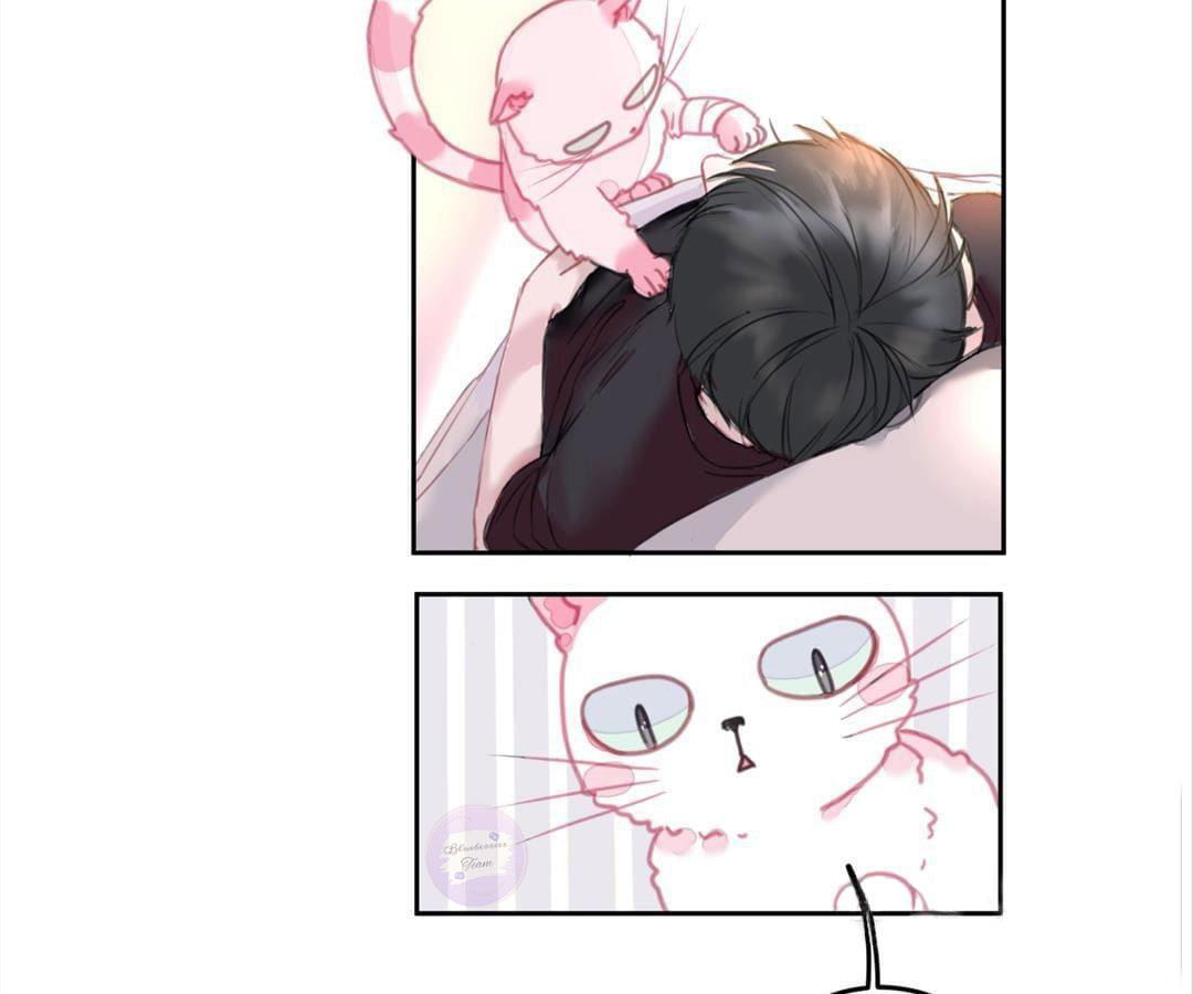 social cat chapter 1 39