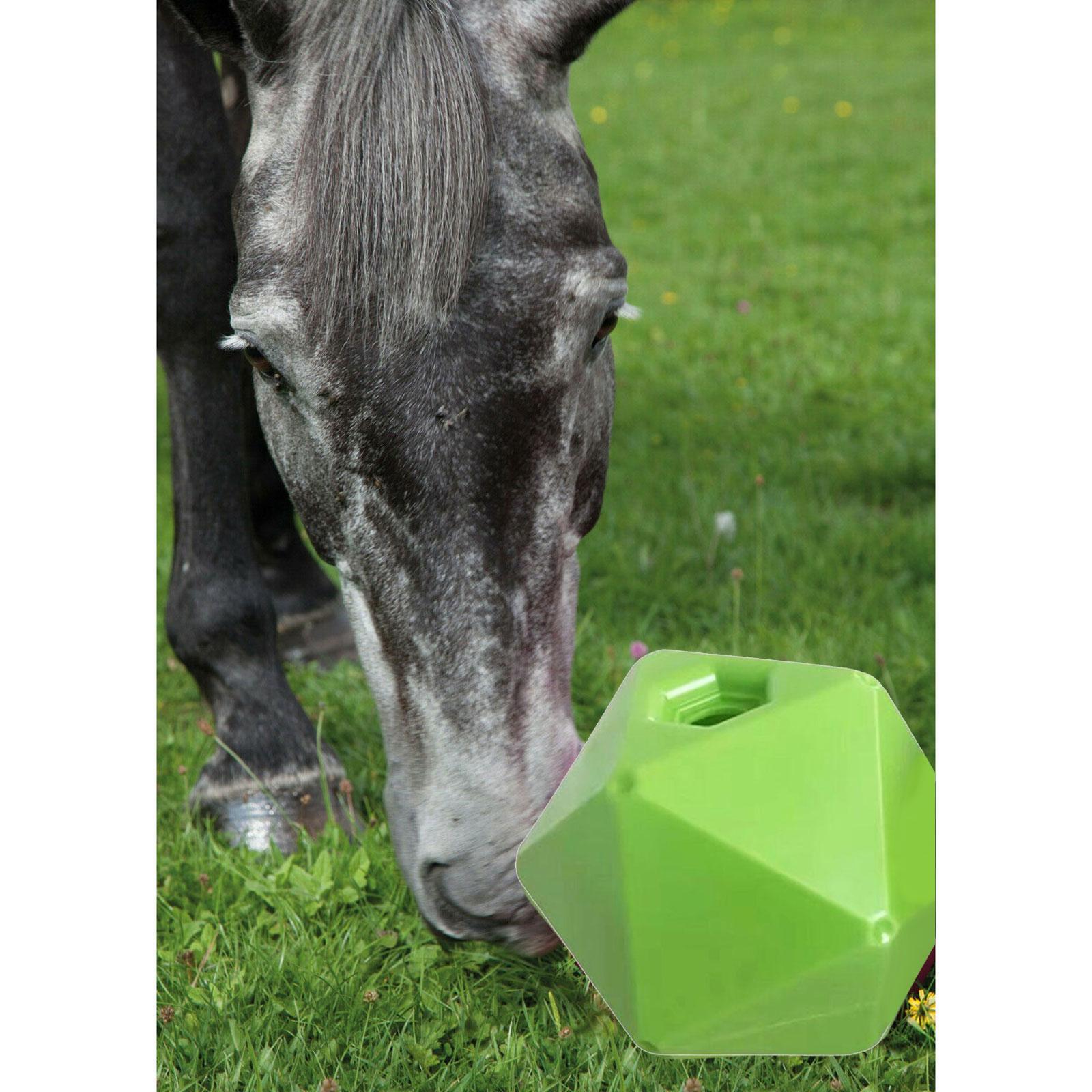 Horse Treat Ball Feeding Toys Feeder Cow Farmhouse Sheep Hay Play Snack Ball