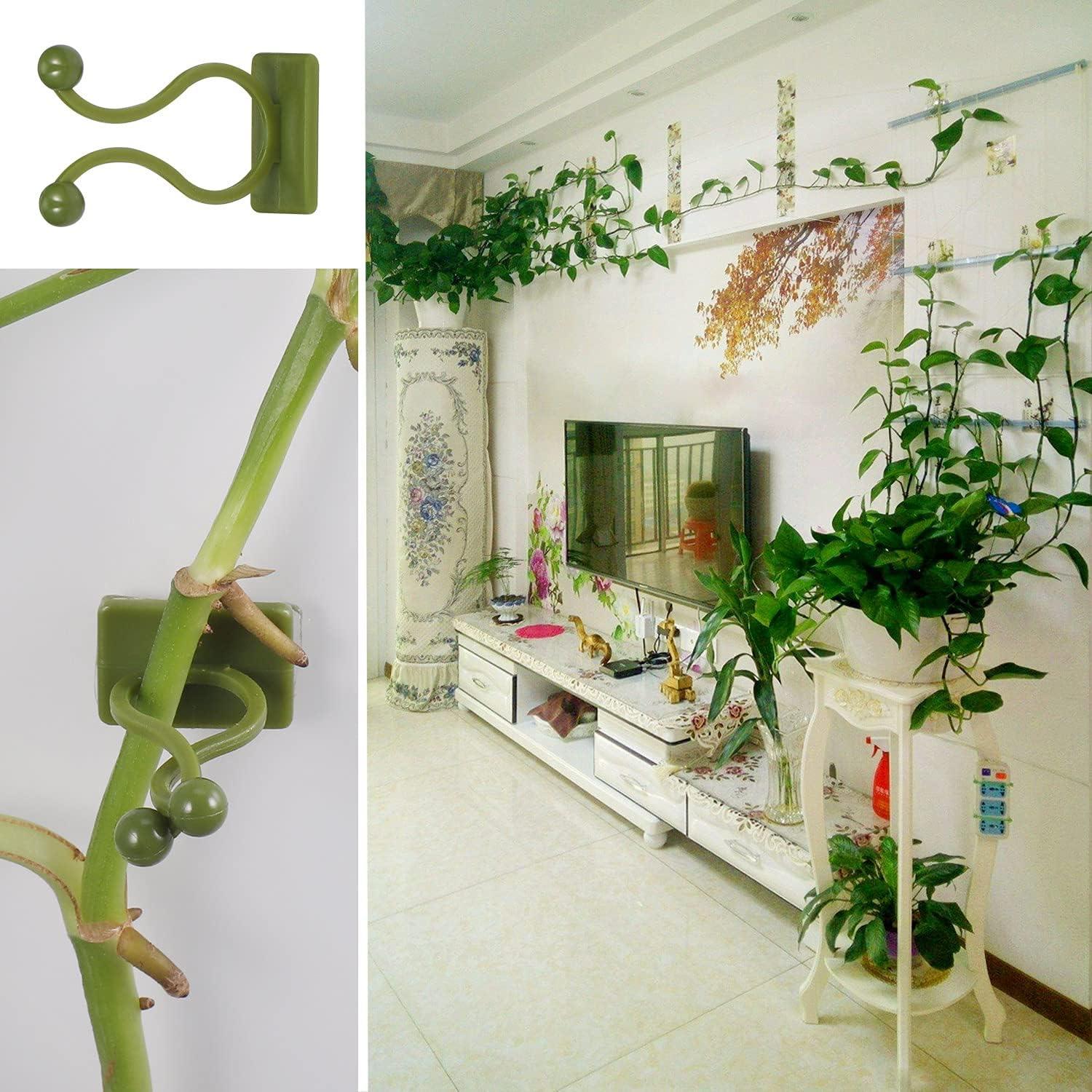 50 Cái Kẹp hỗ trợ cây leo, Kẹp cây tự dính, Kẹp treo tường Green Vine, Cố định tường, Móc treo hỗ trợ cây, Kẹp cọc, Trang trí tường cây