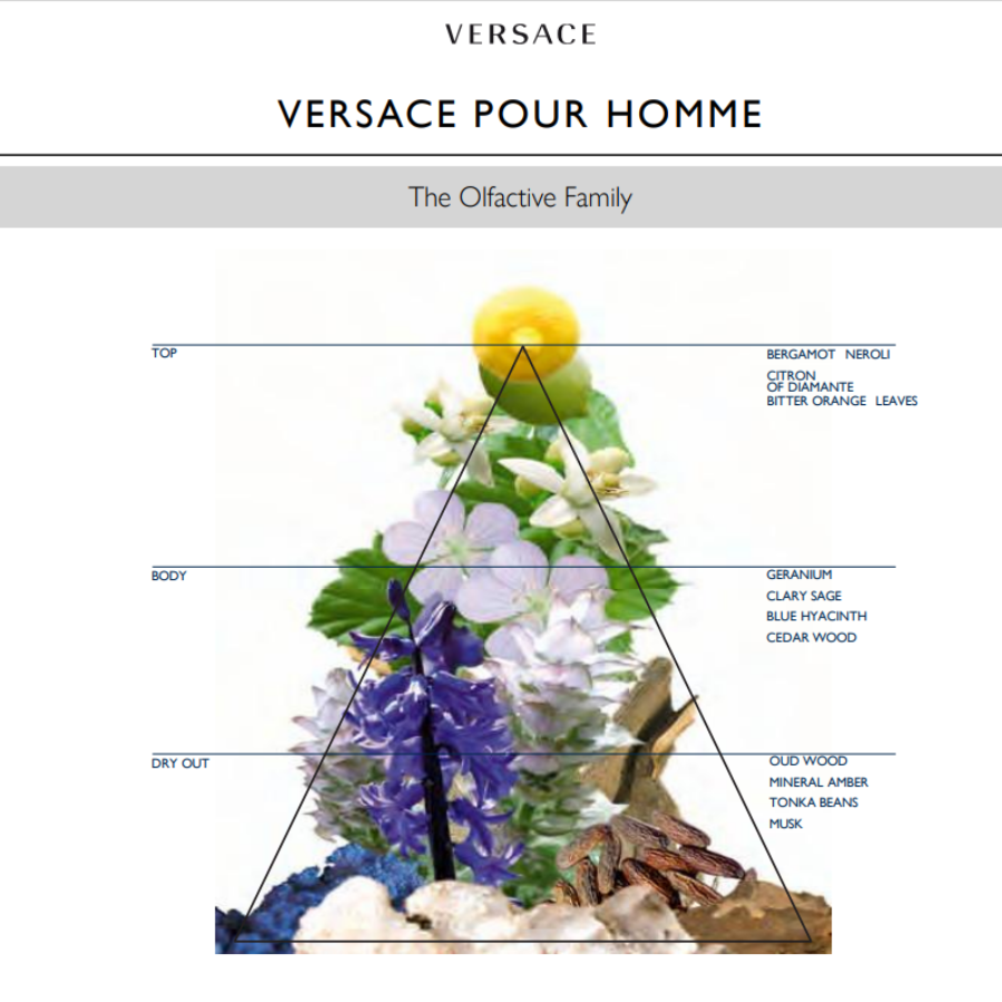 Nước hoa nam cao cấp VERSACE Pour Homme EDT hương Dương Xỉ - Tươi Mát sang trọng