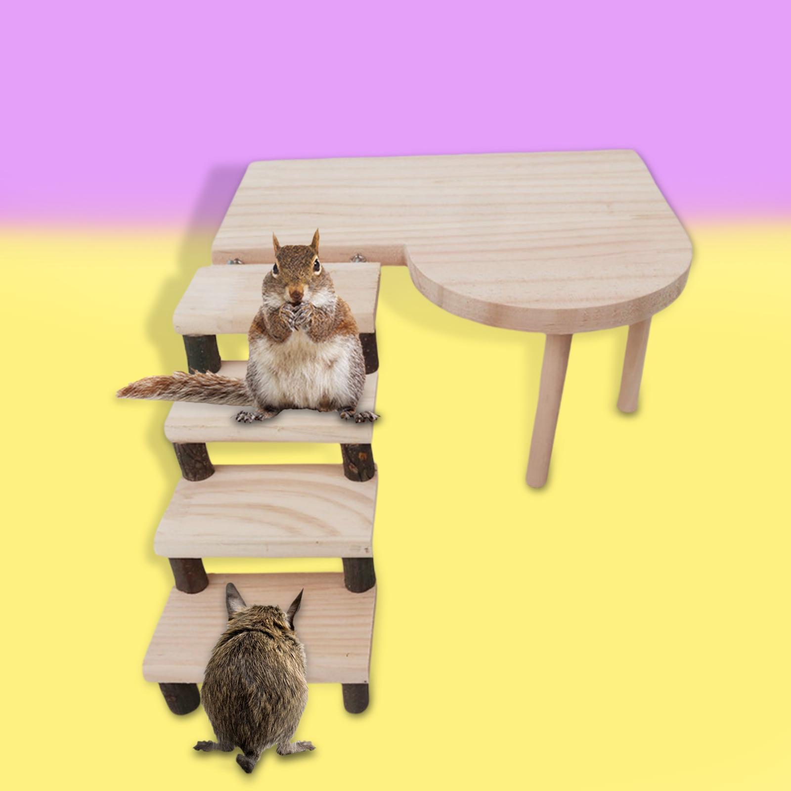 Two Layers Wooden Hamster Platform Climbing Ladder Cage Landscaping Climb