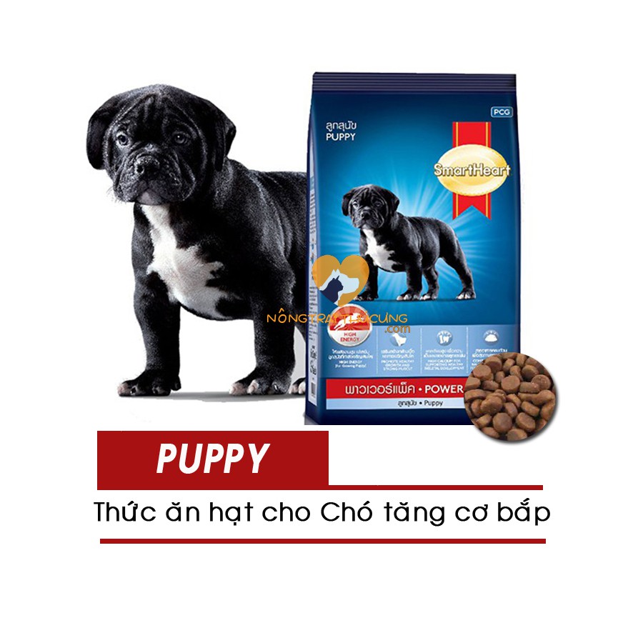 Thức ăn hạt khô cho chó con SmartHead Powerpack Puppy gói 3kg