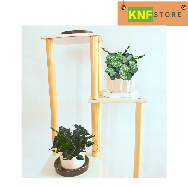 Kệ đặt cây cảnh,kệ gỗ trang trí cây bonsai trong phòng khách,phòng ngủ,góc nhà,mẫu mới 2023