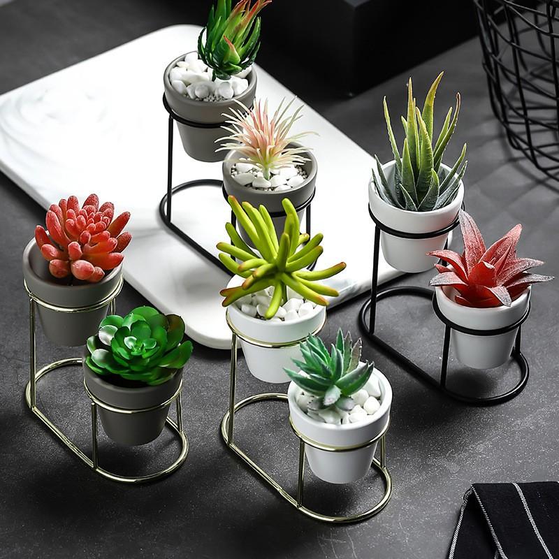Chậu Cây Cảnh Bằng Sắt Trang Trí Nội Thất