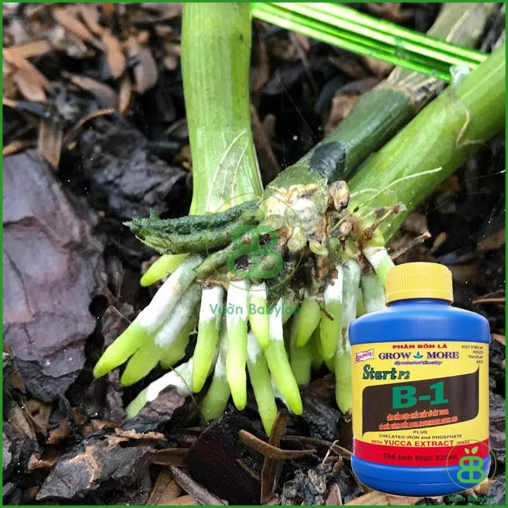 Phân Bón Lá Cao Cấp Vitamin B1 Start Của Growmore .