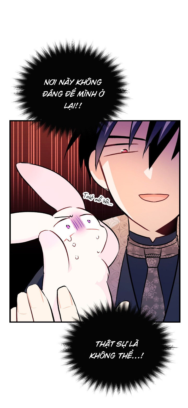 mối liên kết giữa báo đen và bé thỏ chapter 9 25