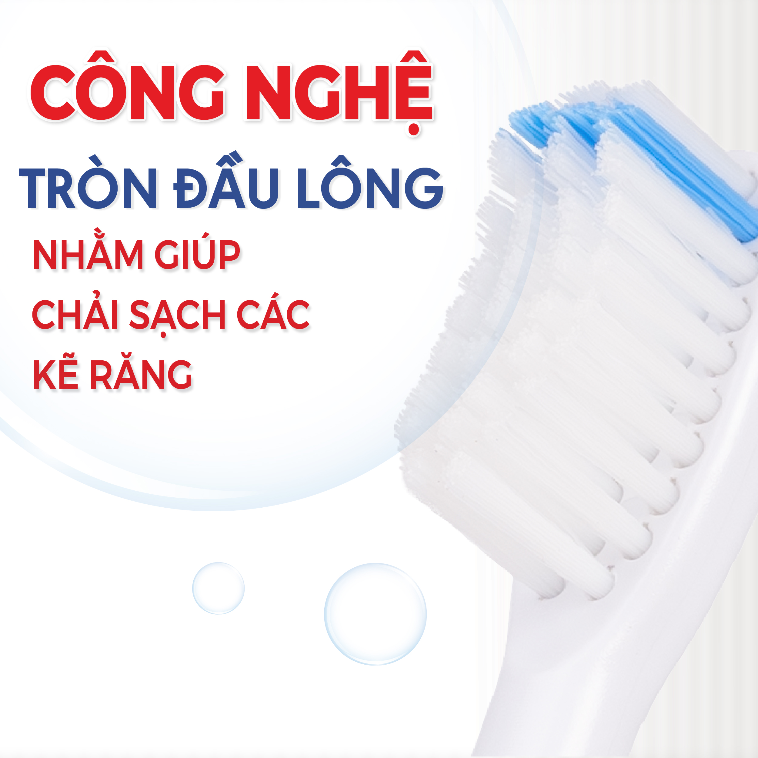 Vỉ 2 Đầu Bàn Chải Điện Lông Tynex LT1 Thay Thế Sau 3 Tháng Tương Thích Với Bàn Chải Điện Thông Minh Lipzo Sóng Âm Sonic