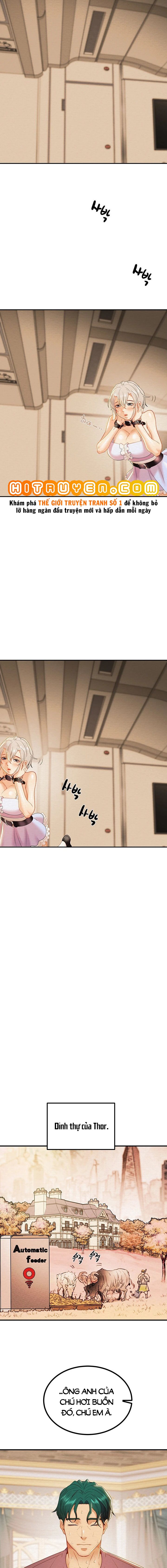 cây búa thần chapter 20 17