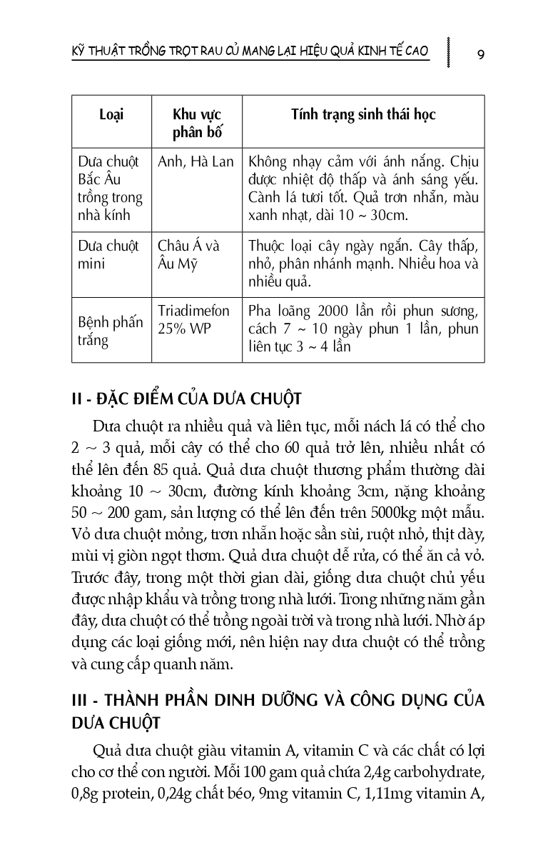 Kỹ Thuật Trồng Trọt Rau Củ Mang Lại Hiệu Quả Kinh Tế Cao