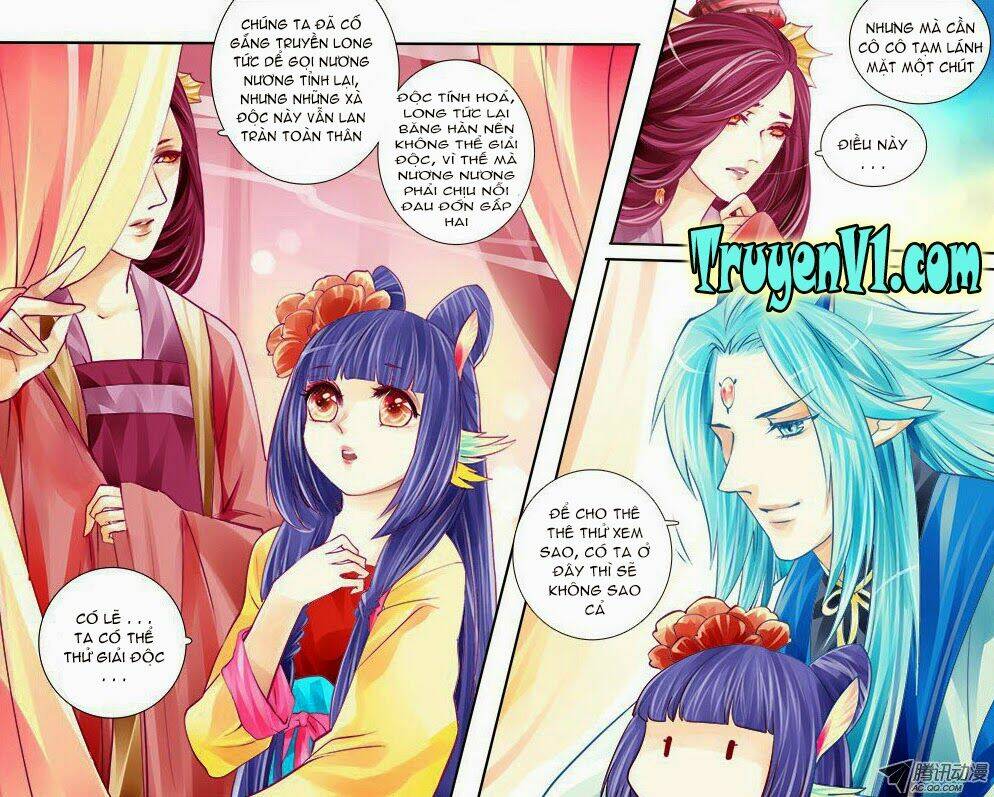 long phượng trình tường chapter 70 8