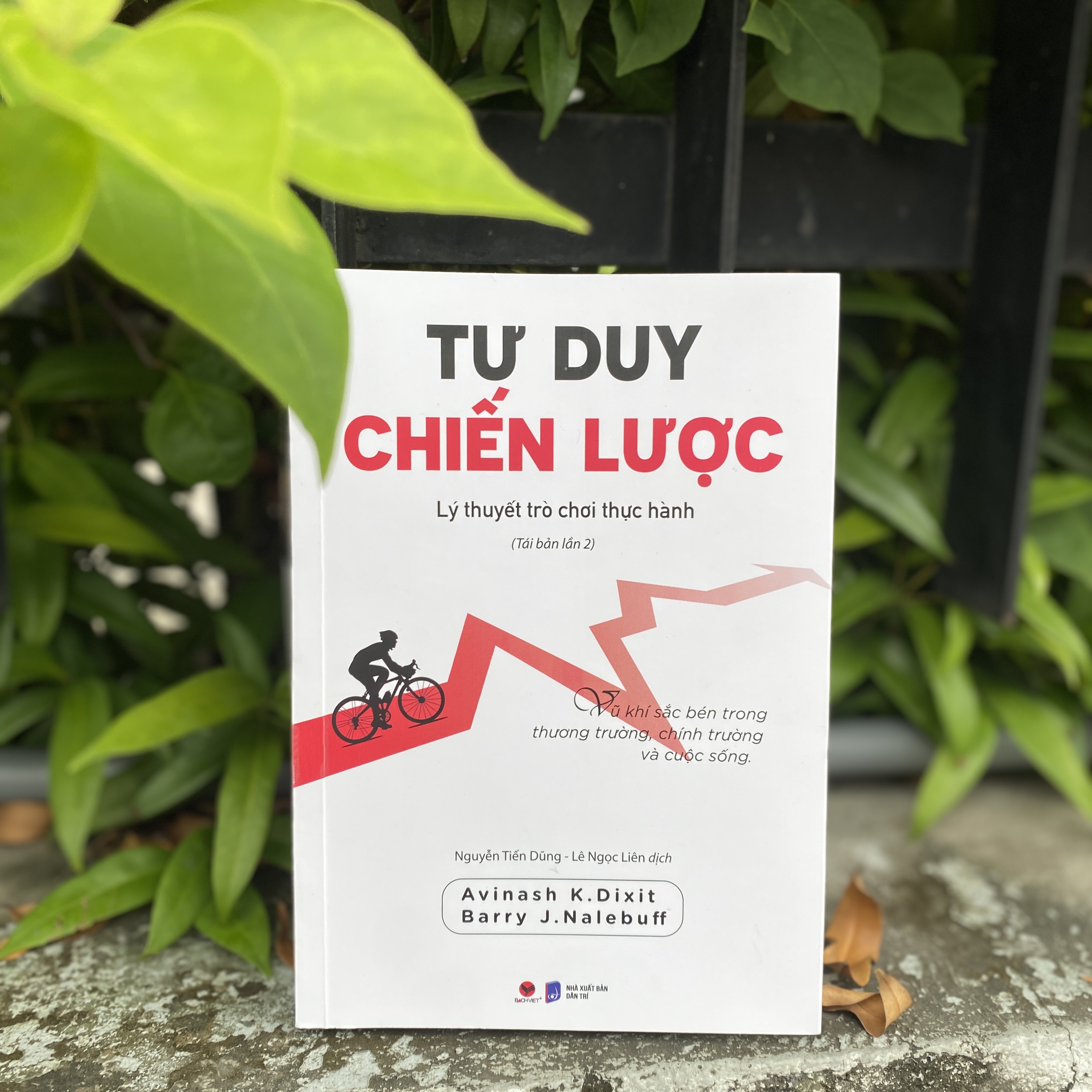 Sách - Tư duy chiến lược - Lý thuyết trò chơi thực hành