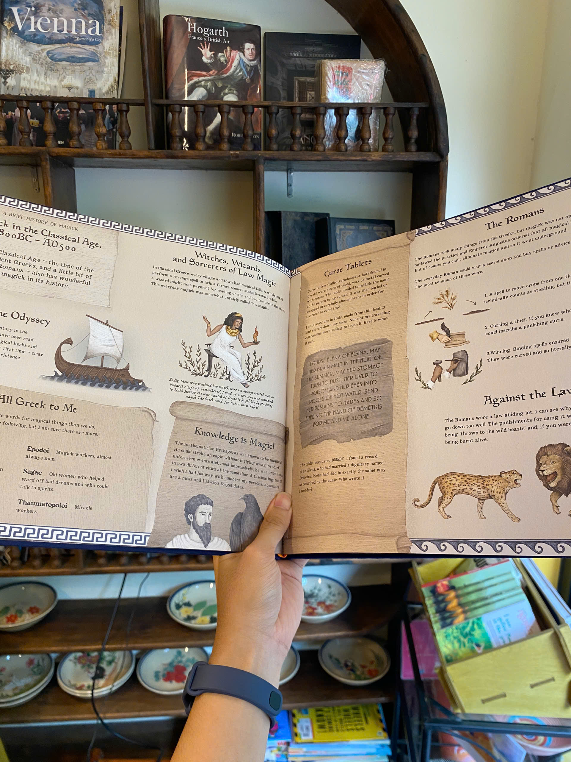 Sách - A Natural History of Magick (Folklore Field Guides) by Poppy David | Children's Picture Book