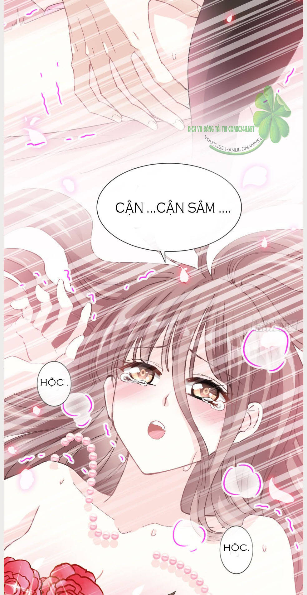 bá đạo tổng tài nhẹ nhàng yêu chapter 33.2 17