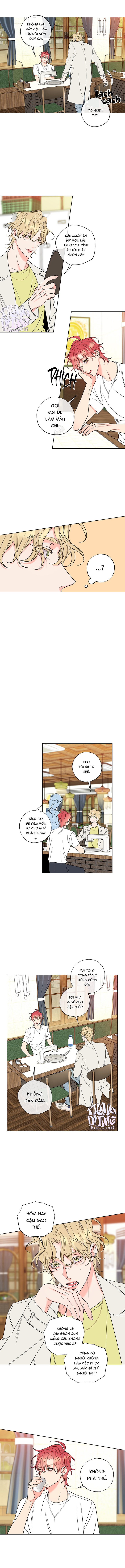 rắc rối mật ngọt chapter 19 5