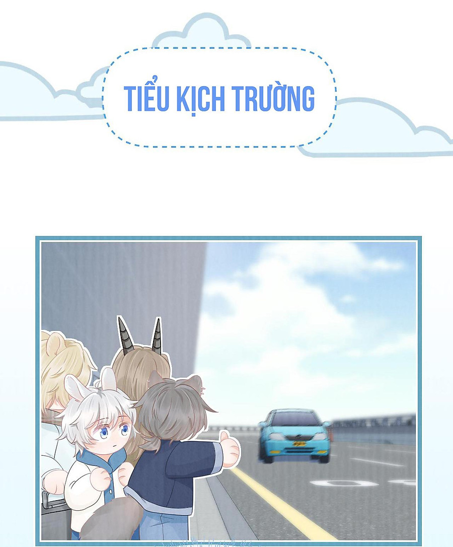 [ss2] một ngụm ăn cả thỏ con chapter 0 71