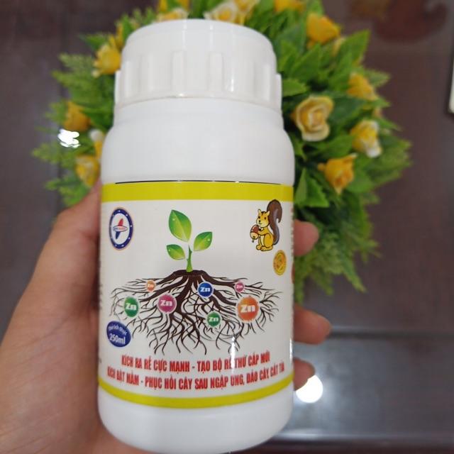 Siêu ra rễ Rooting