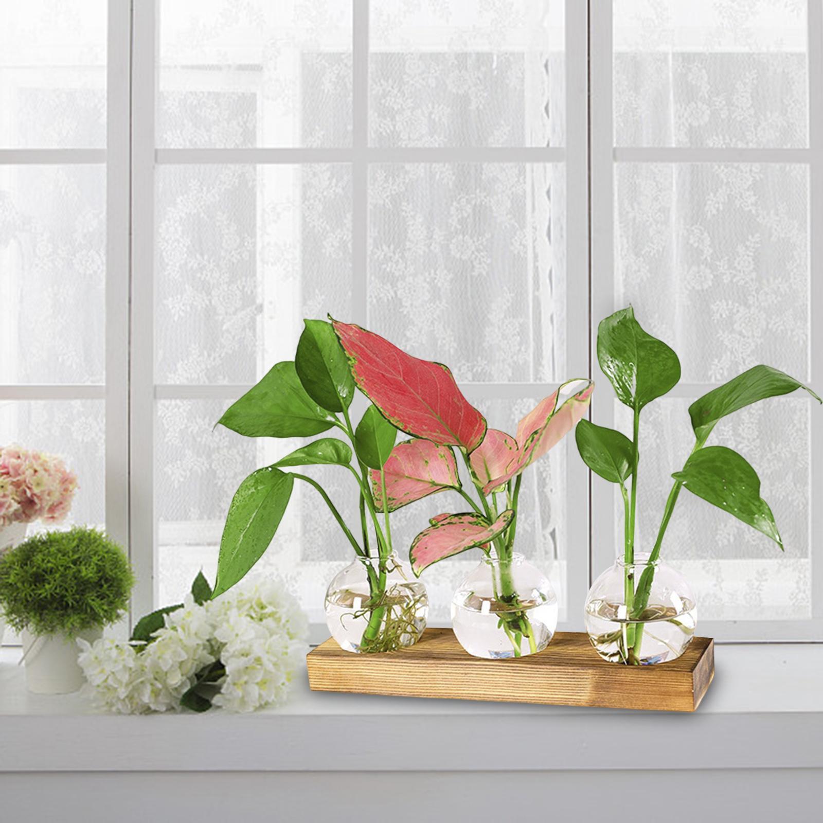 Glass Vase Transparent Bottle Propagation Terrarium for Home Cabinet Decor