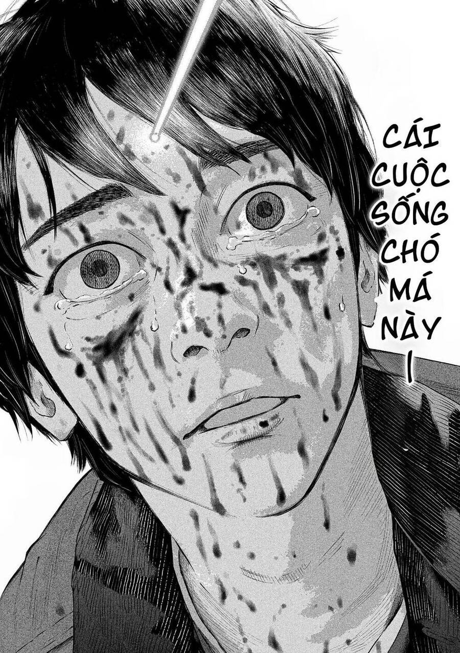 mật danh: nostra chapter 1 24