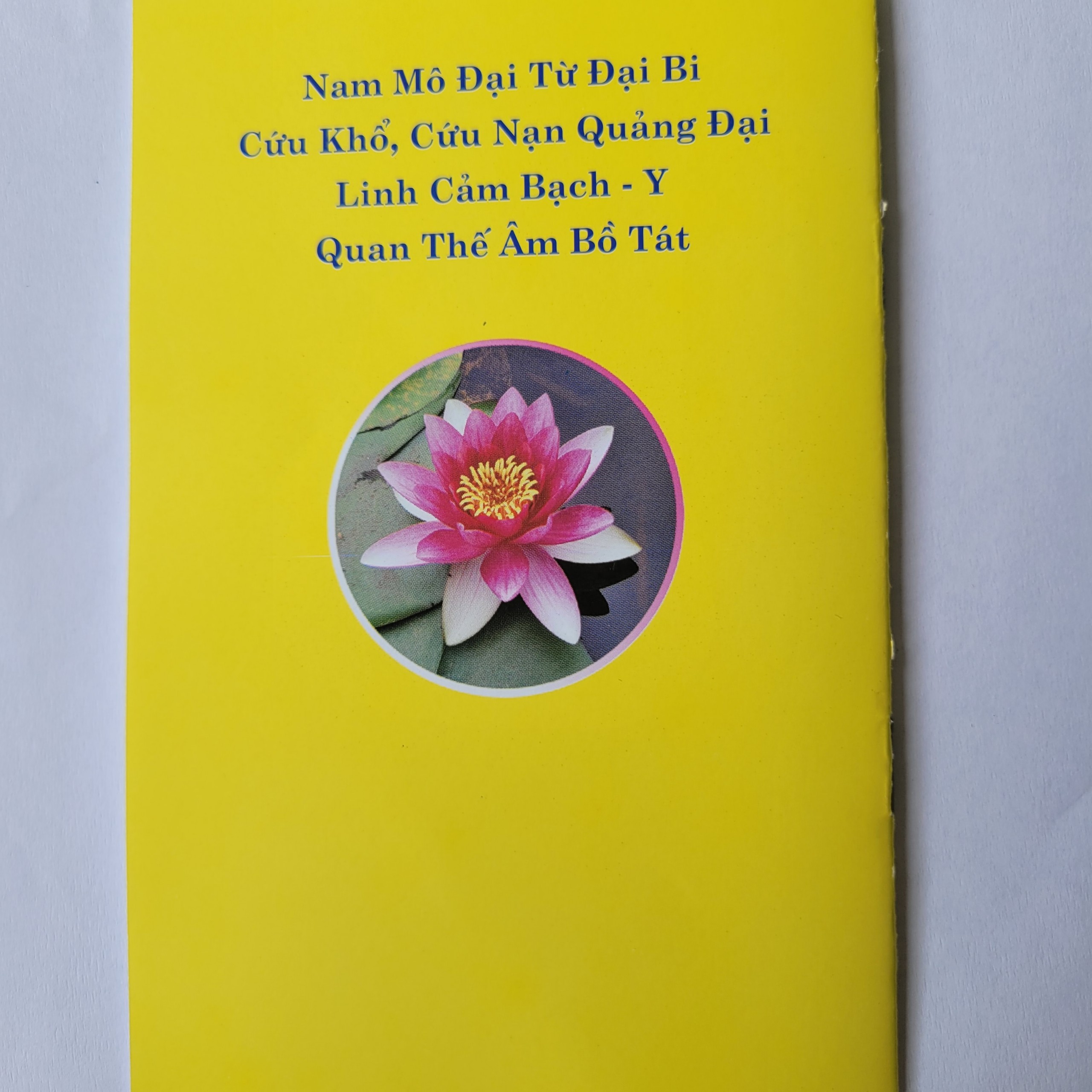 Sách- Bạch Y Cứu Khổ