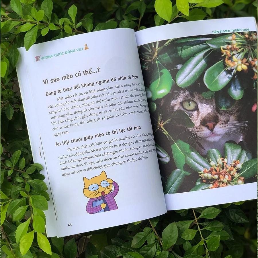 Tiến Sĩ Mèo Thông Thái  - Bản Quyền