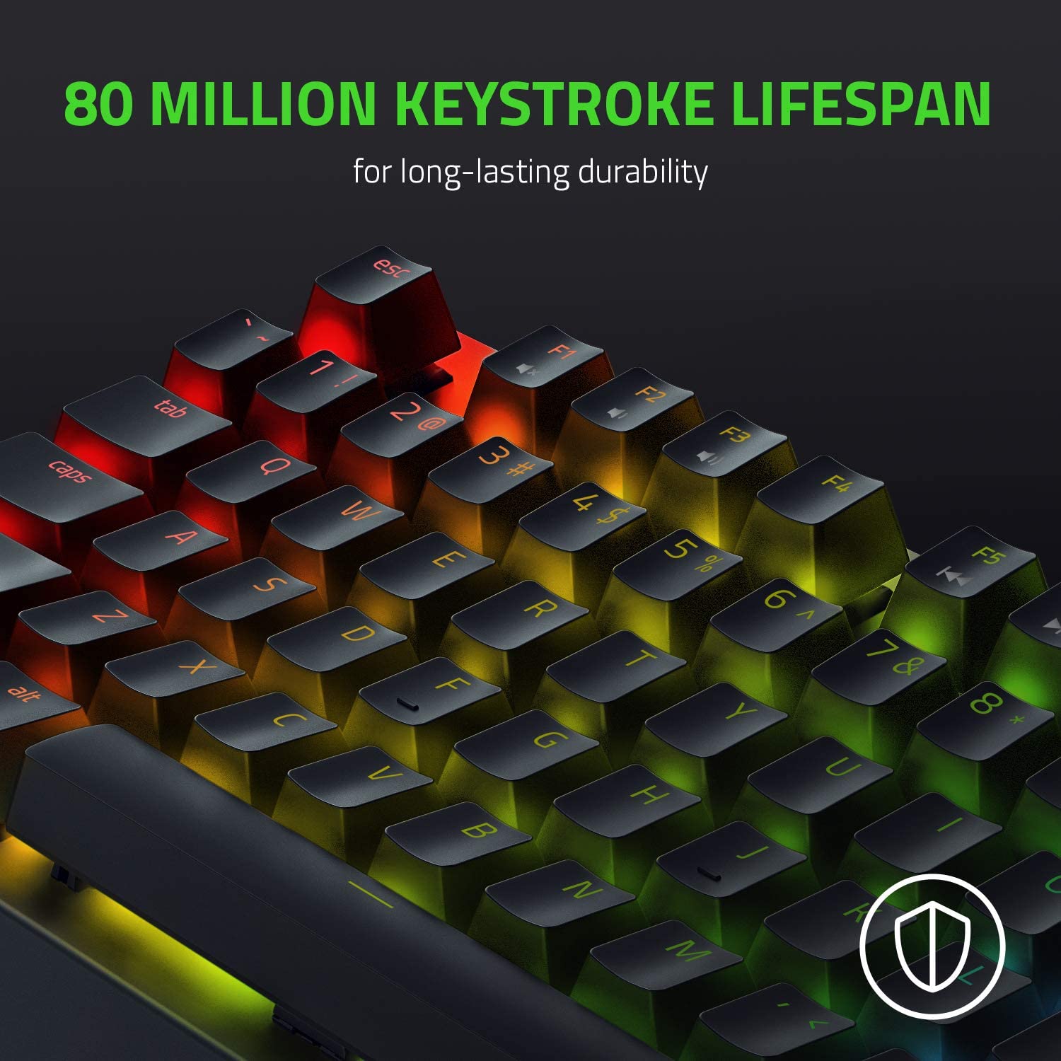 Bàn phím Razer Blackwidow V3 Tenkeyless-Mechanical-US Layout
