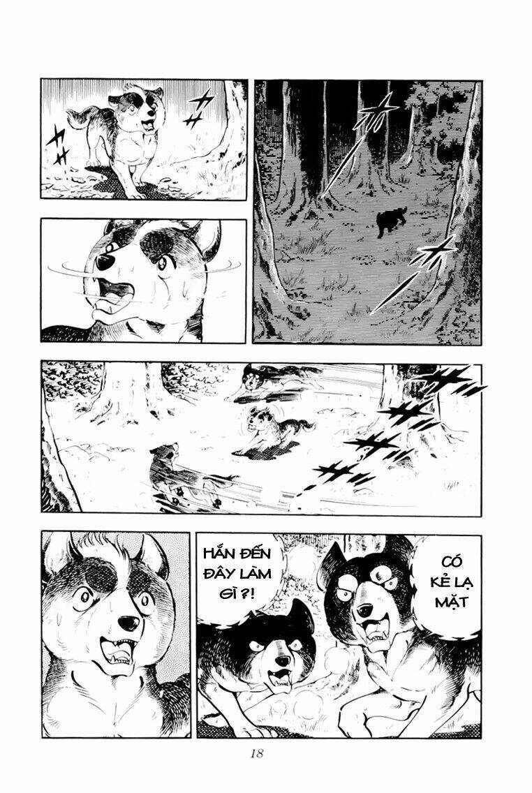 chú chó có nghĩa - ginga nagareboshi gin chapter 31 19