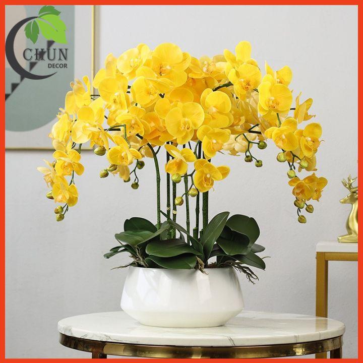 Chậu Lan Hồ Điệp Giả Cao 60cm Trang Trí Nhà Cửa, Cửa Hàng, Văn Phòng, Lớp Học CL5