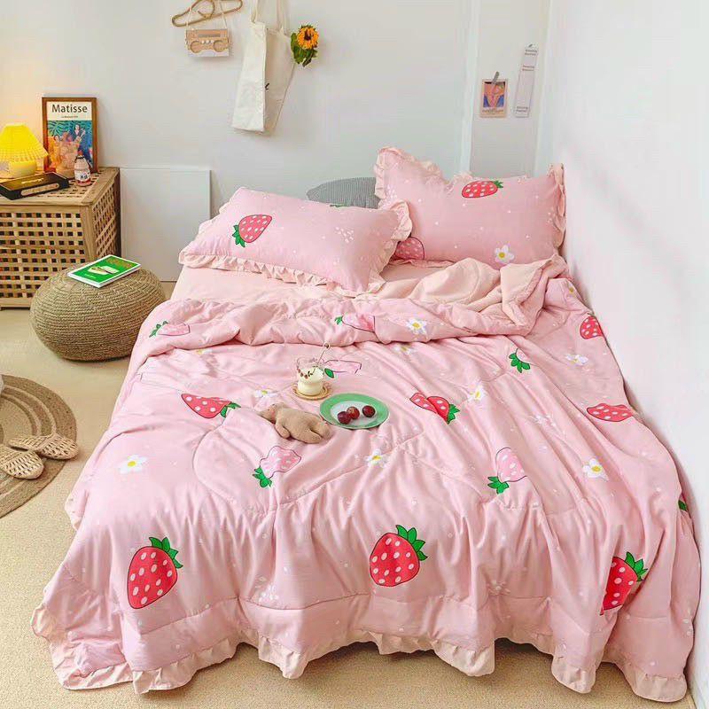 Bộ chăn ga gối Đũi bèo chăn hè trần bông đẹp miễn chê