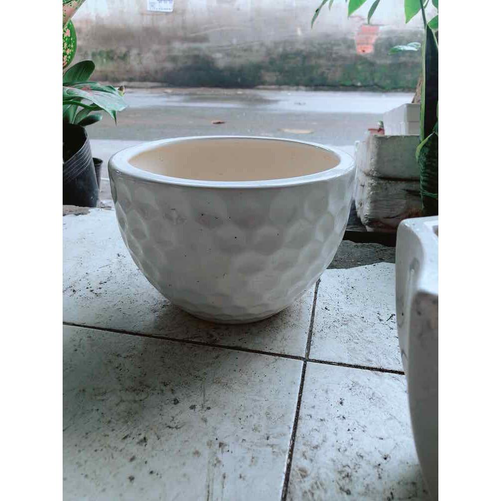 Chậu Trồng Cây Bán Chạy