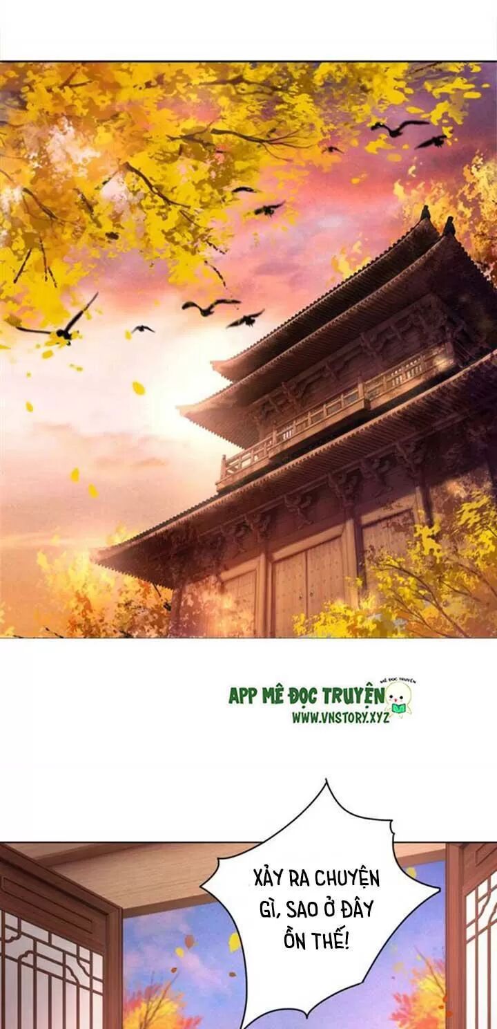 cực phẩm phế vật tiểu thư chapter 51 10