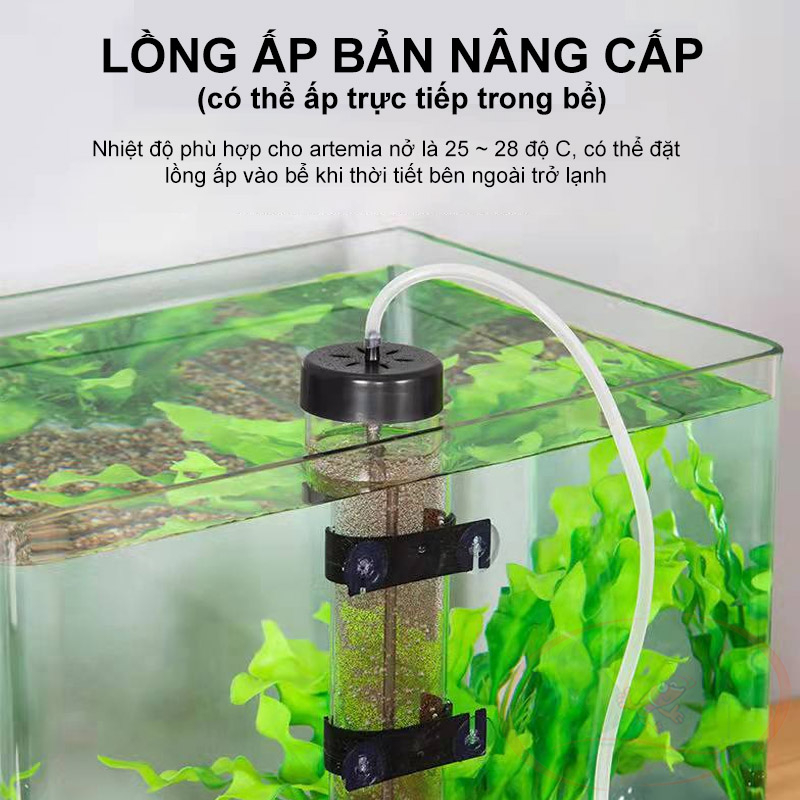 Bộ lồng ấp artemia Incubator Brine Shrimp Eggs nâng cấp ấp nở trứng artemia cho cá cảnh