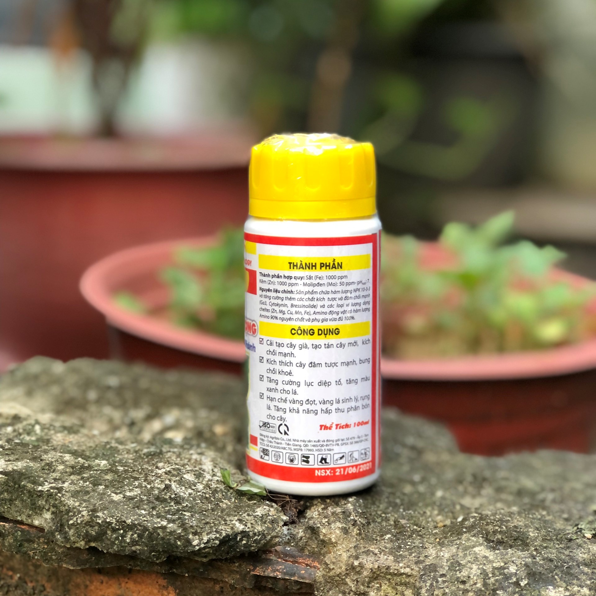 Siêu phóng đọt bật chồi mập cọng TD 90-Úc -100ml