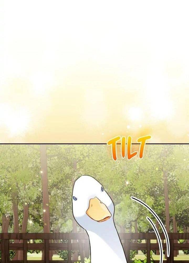 tại sao mẹ chồng tôi lại như thế này? chapter 39 37