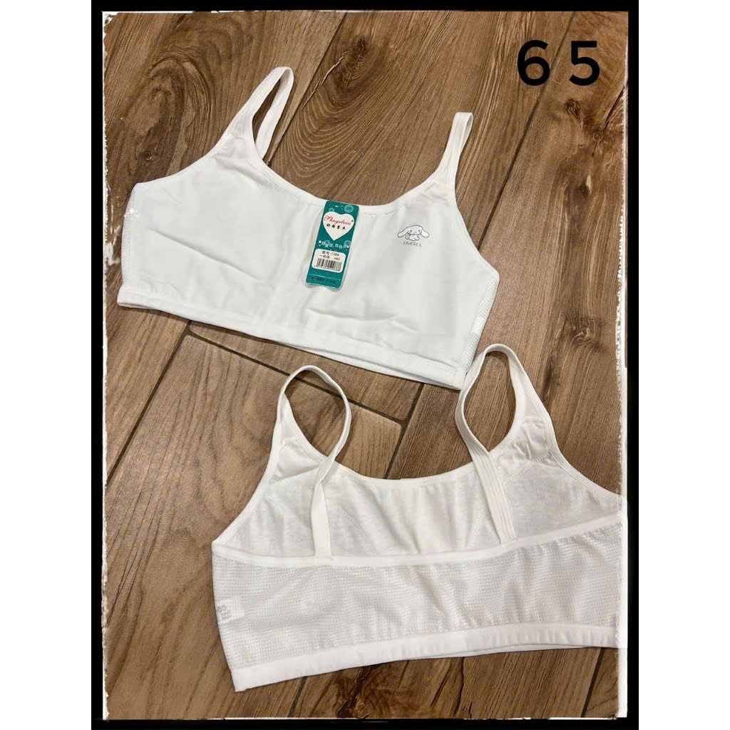 Áo Lá Học Sinh 1388 Mẫu Thỏ Cotton Mút Mỏng Lưng Có Thông Hơi