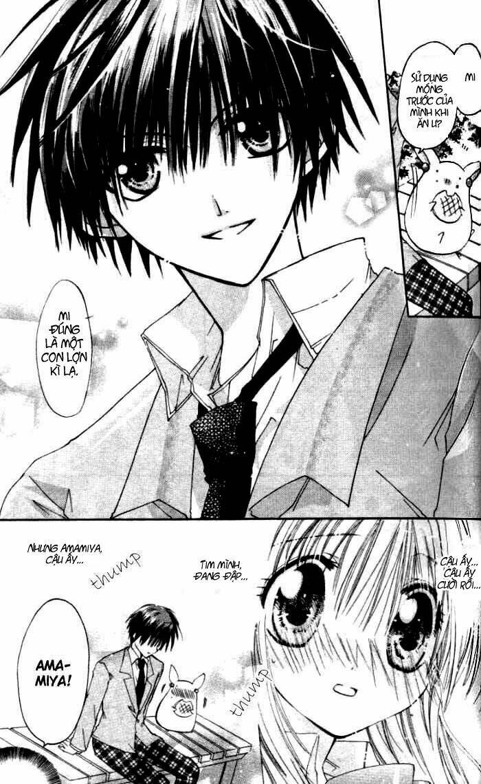 pixie pop chapter 2 20