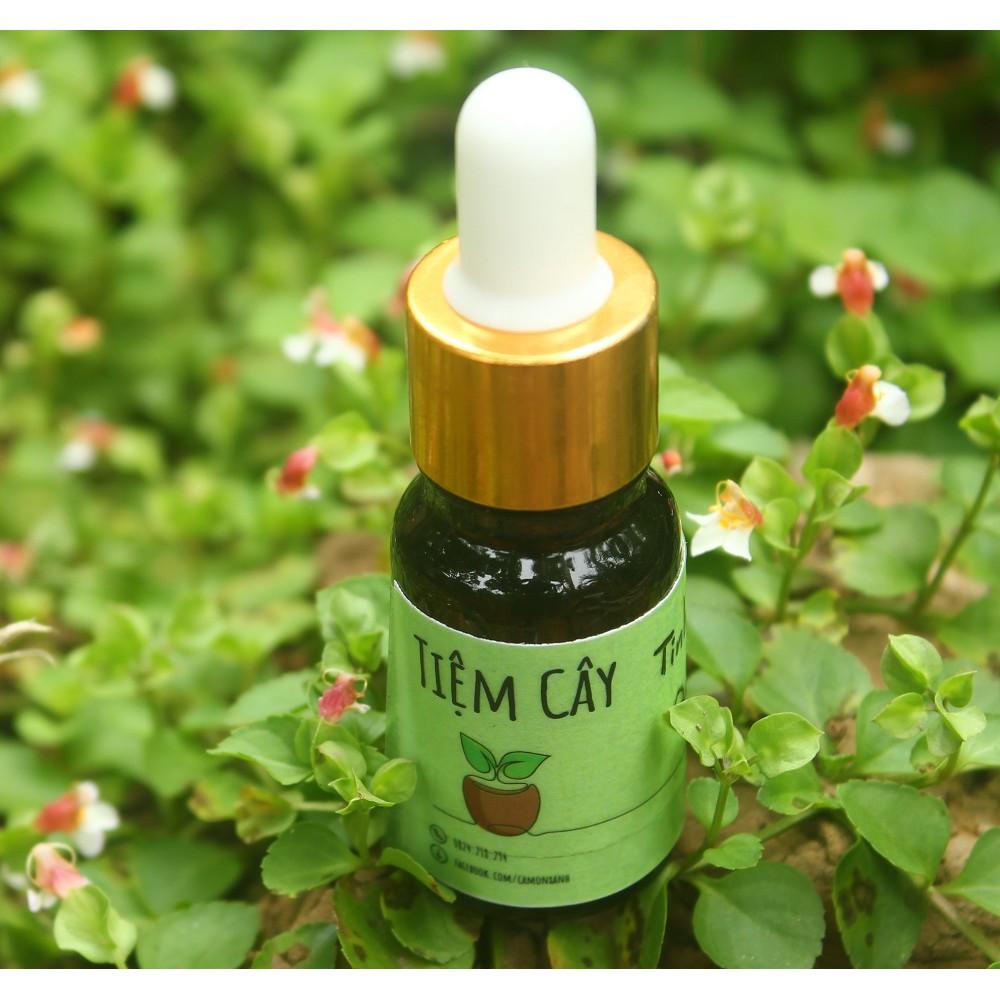 Tinh dầu Quýt hỗ trợ tiêu hóa - chai 10ml