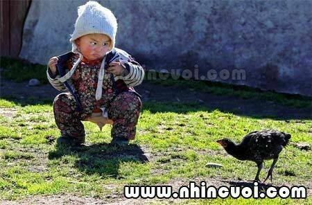 hình ảnh hài hước new chapter 10 9